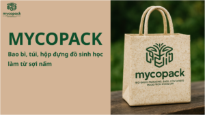 Bao bì, túi, hộp đựng đồ sinh học làm từ sợi nấm