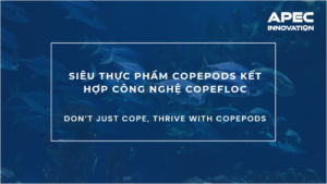 Siêu thực phẩm Copepods kết hợp công nghệ Copefloc